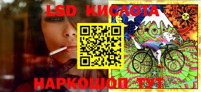 сатива Новозыбков