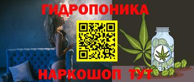 мдма Новодвинск
