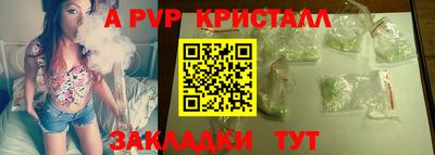 сатива Новозыбков