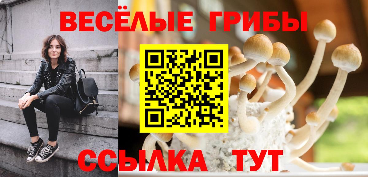 Псилоцибиновые грибы мухоморы Рузаевка