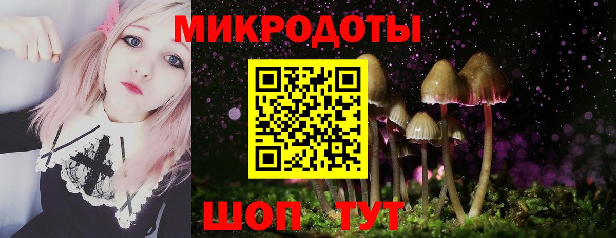 Рузаевка  Галлюциногенные грибы ЛСД  Вход с VPN 
